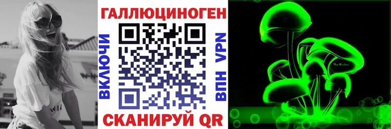 даркнет сайт Ядрин Псилоцибиновые грибы Psilocybine cubensis