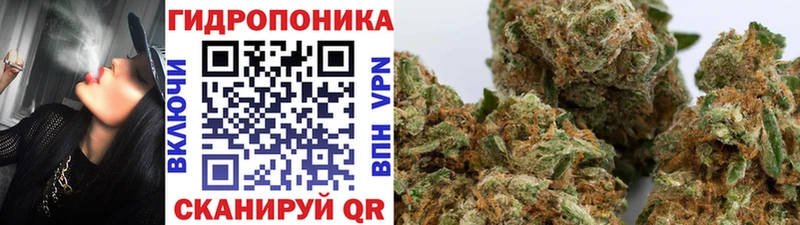 Шишки марихуана ГИДРОПОН Ядрин